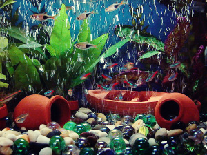 those wonderful plastic plants